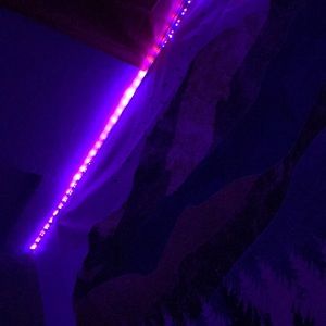 Meet your Posher, Riley